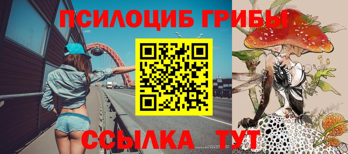 Псилоцибиновые грибы мицелий Камышлов