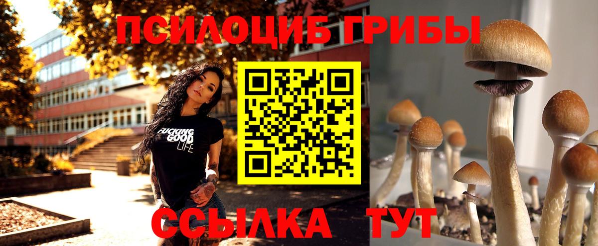Галлюциногенные грибы мицелий  Вход с VPN  Камышлов 