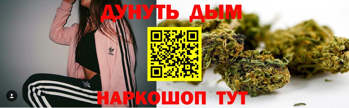 МАРИХУАНА ГИДРОПОН  Вход с VPN  Бошки марихуана семена  МАРИХУАНА Bruce Banner  Камышлов 